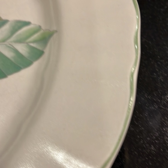 11" Dinner Plate - Mikasa Country Classics Norfolk (Set of 2) - Picture 5 of 8